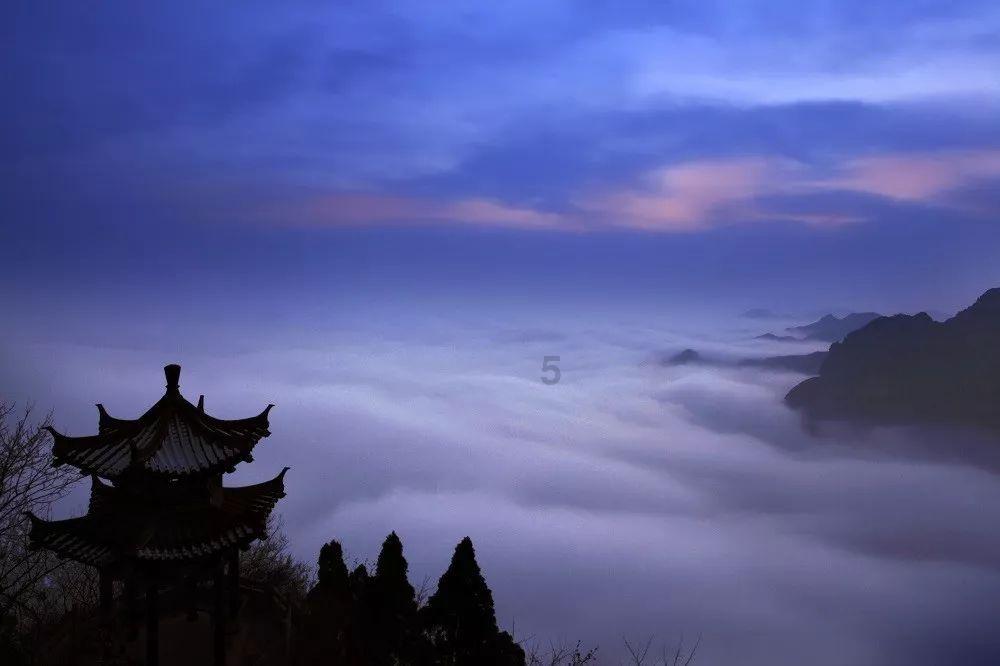 曲棍球教练逃生