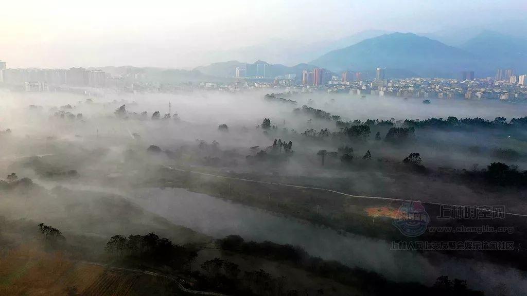 小猫钓鱼游戏龙王版有船