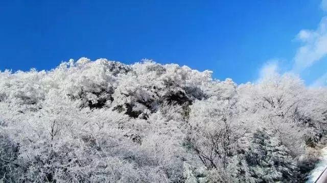 我市新能源汽车保有量破万