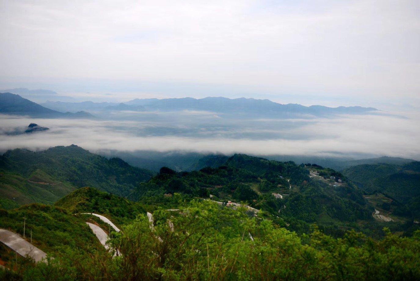 掘地挖宝