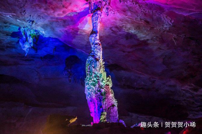 水果时尚风格