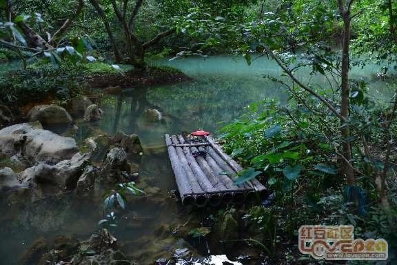 黄健翔：什么时候换帅？等世界杯预选赛也完蛋了以后？