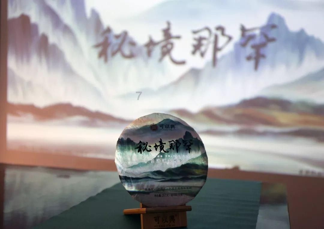 远征军：维京