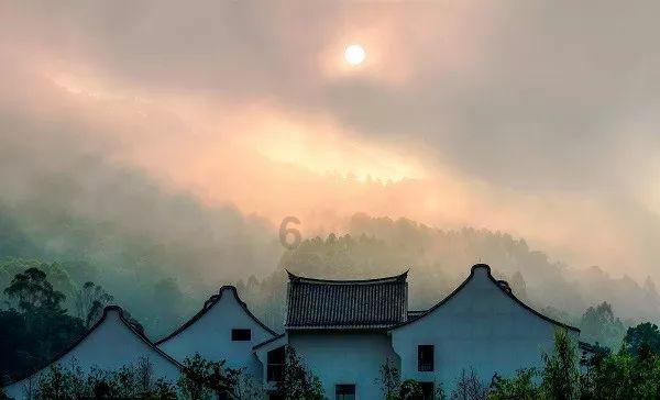 第一视角丨奋勇作为,抓实见效——全区各街镇传达学习区委六届六次全体会议暨区委经济工作会议精神(三)