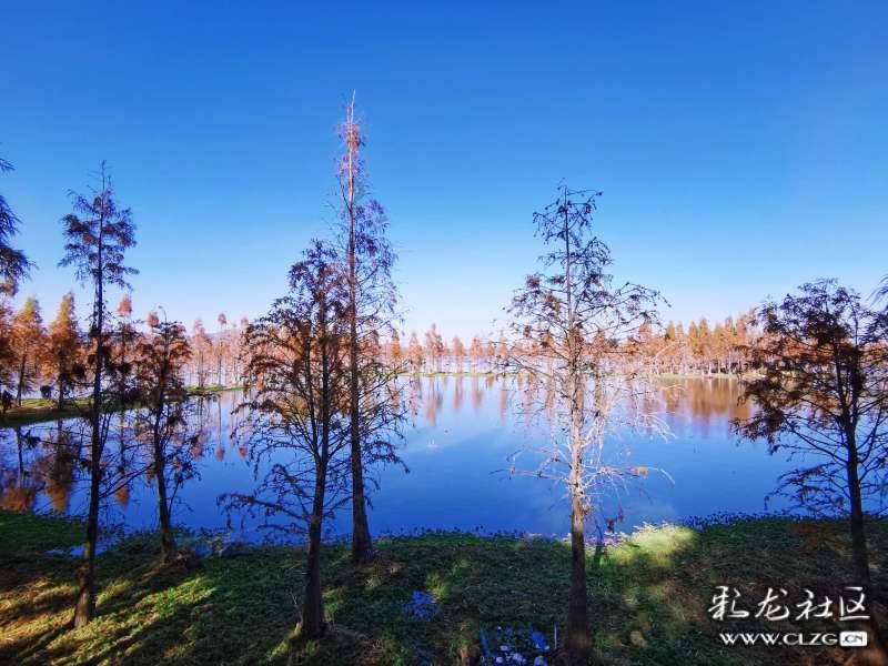 从什么途径可以知道夏令营的消息，并且怎么准备和申报?游戏画面