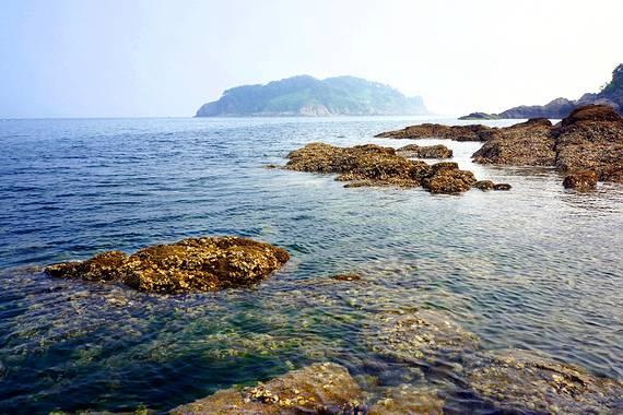 “税路通·海纳百川”护航攀枝花民营企业走好“海外路”