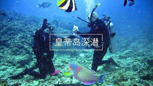 动物帮帮忙保卫家园
