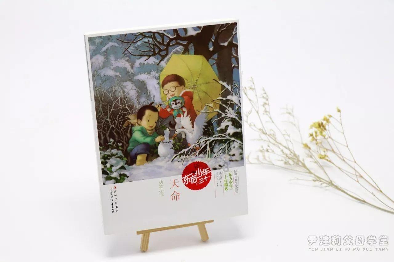 今年将在全国范围有序推进交叉执行工作