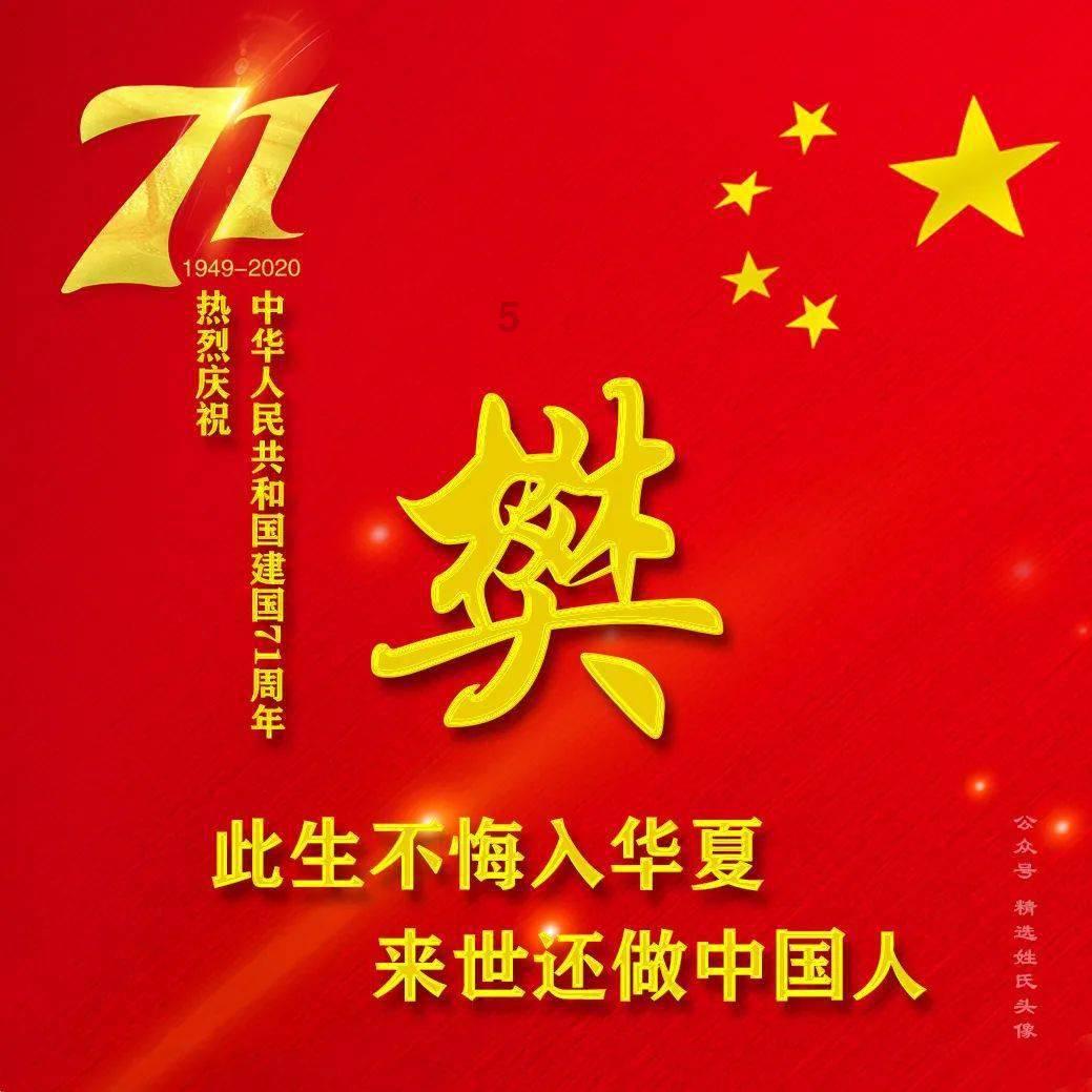 逃离金刚鹦鹉森林