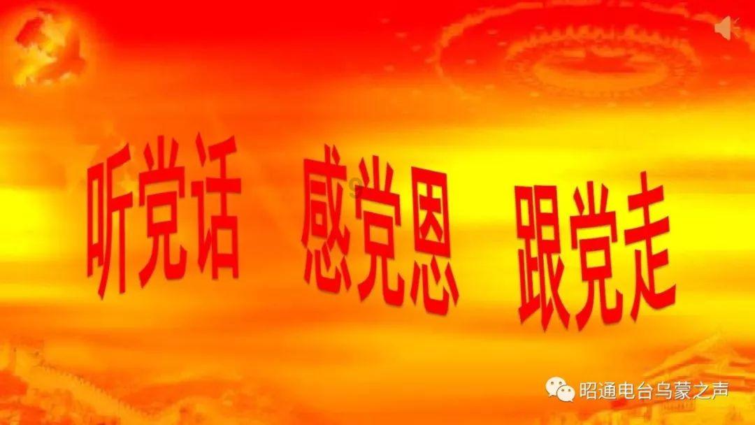 2024全明星第三阶段投票结束，字母哥终结詹姆斯7年票王