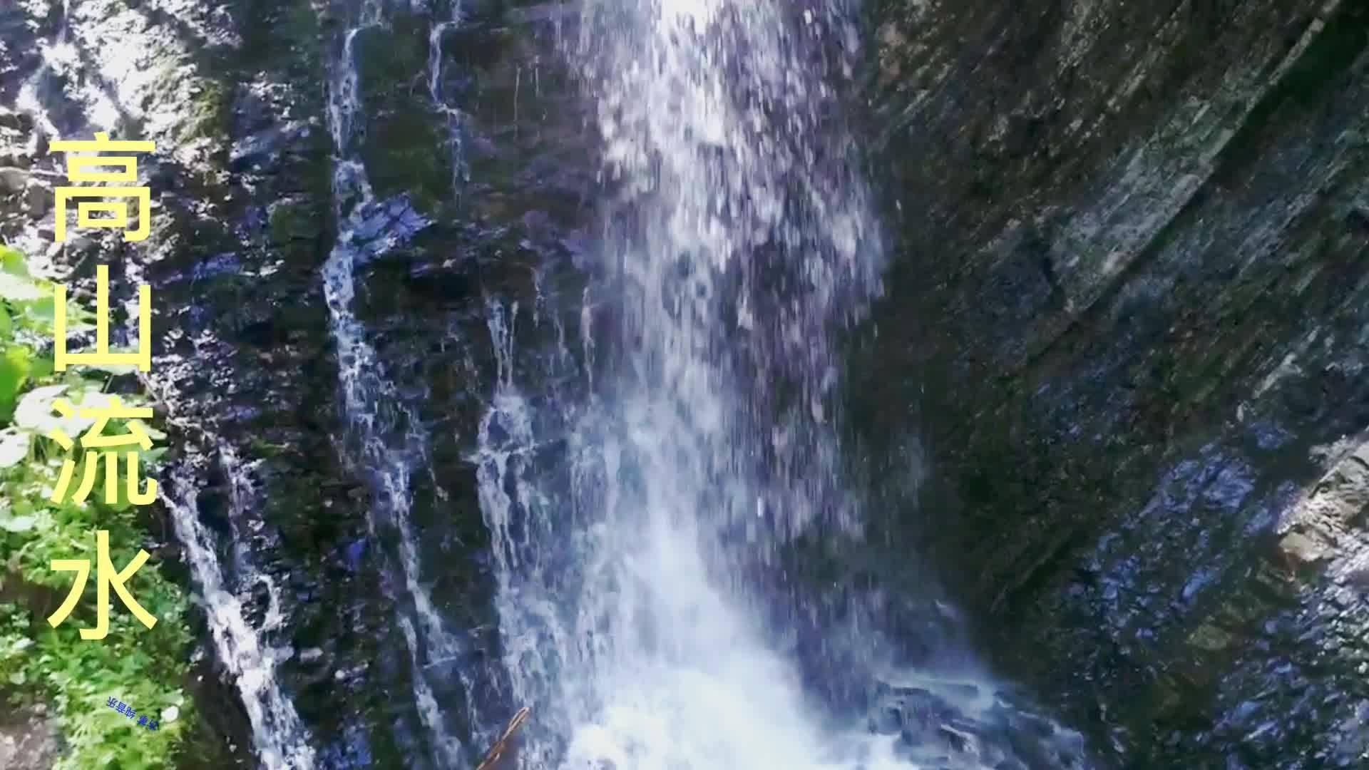 兰博基尼填颜色