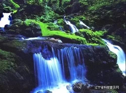 救援小肥兔