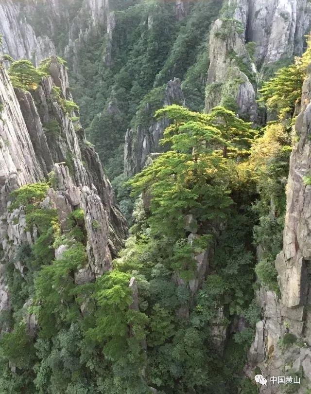 易方达“神基”成反向案例:基金赚饱，基民跌倒！