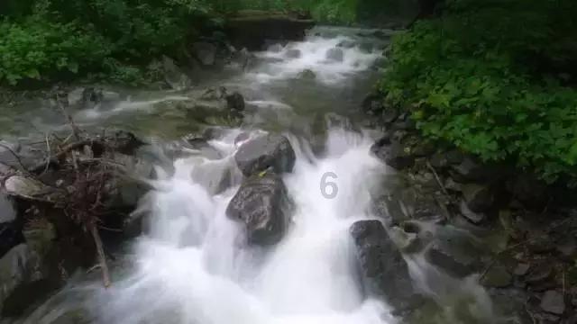 带状疱疹引起肚子疼怎么回事游戏画面