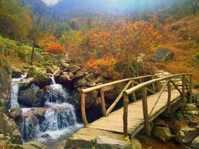 宁夏隆德县:挥毫泼墨送祝福 禁毒宣传入人心