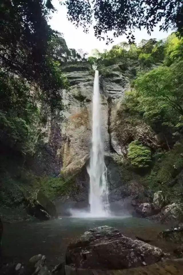 成长家园