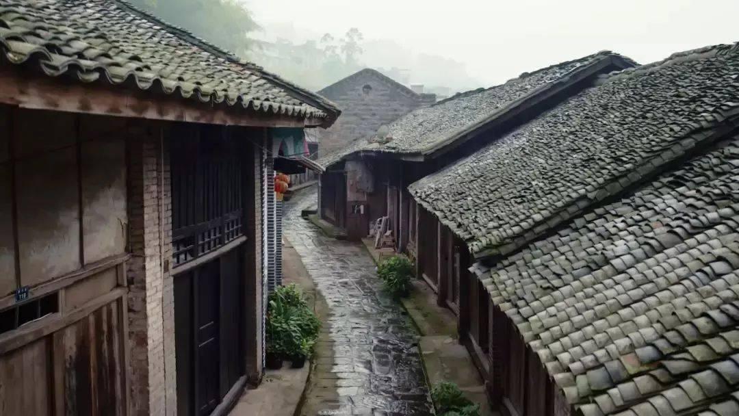 齐心协力守护乡村文化净土