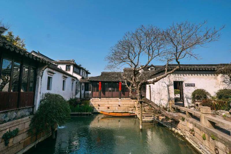 《大宅门》：杨九红为什么坚持去关外办药材