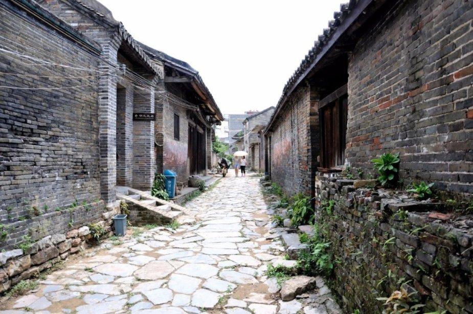 贵州山居|凤冈万顷雪落,可尽欢喜