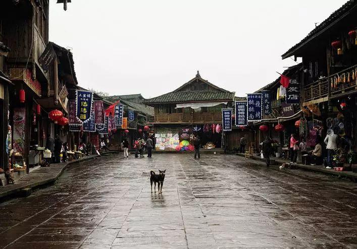 吃猪蹄能补胶原蛋白吗？