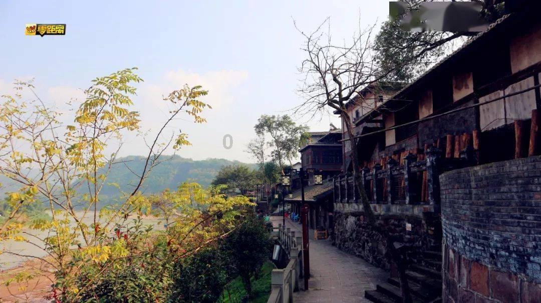 照顾小兔宝宝
