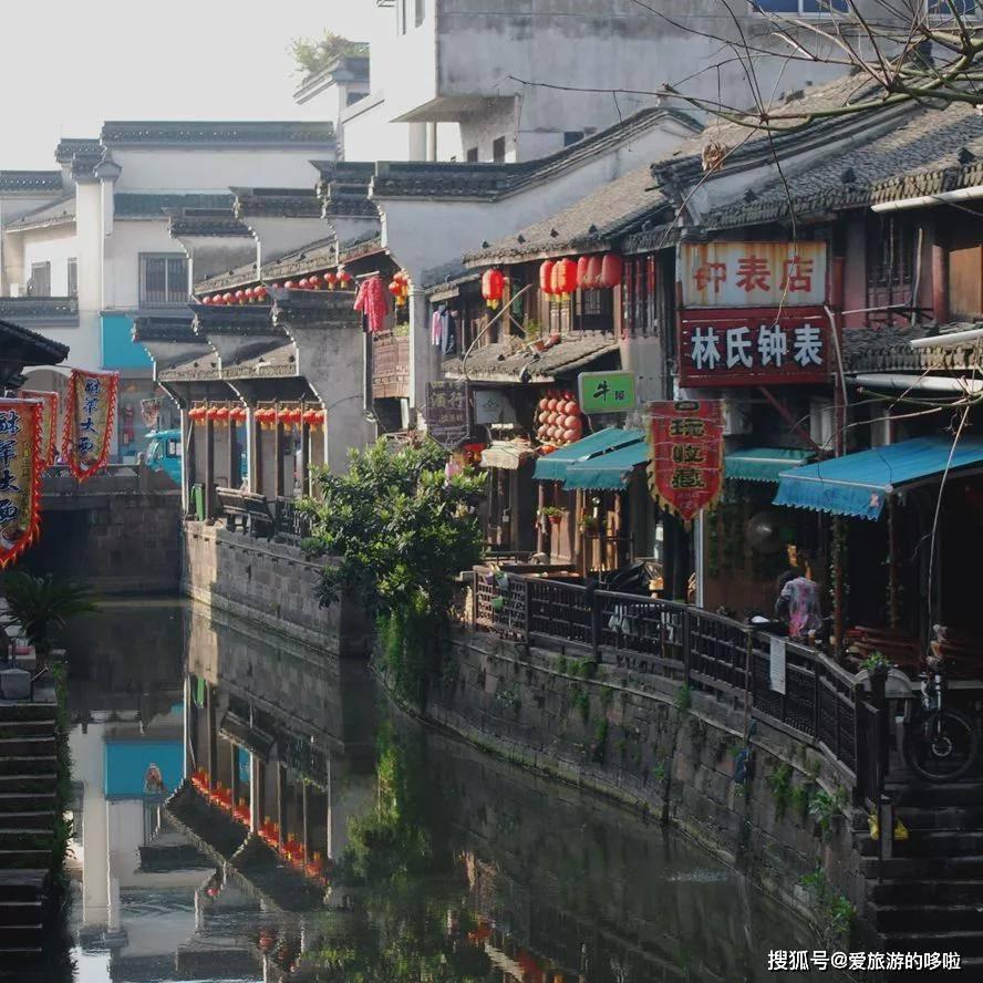 植物大战僵尸4