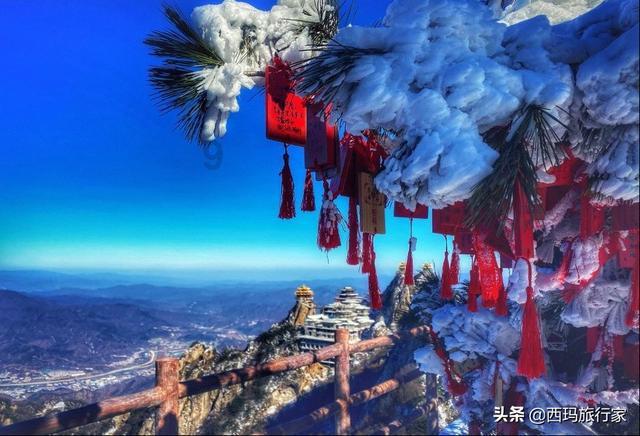 丰富夜间经济消费业态，长三角首个夜经济产业项目在平湖开街